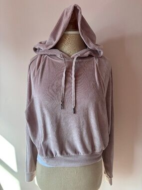 Victoria Secret Velour Cropped Hoodie
